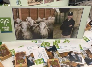 Αφιέρωμα: Από τα πρόβατα γάλα και από το μαλλί λίπασμα – Τίποτε χαμένο για τους «Περήφανους Αγρότες» (εικόνες)