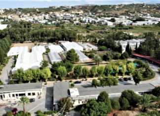 Tο χαρούπι στην Κρήτη – Το παρελθόν, το μέλλον και το νέο ερευνητικό έργο