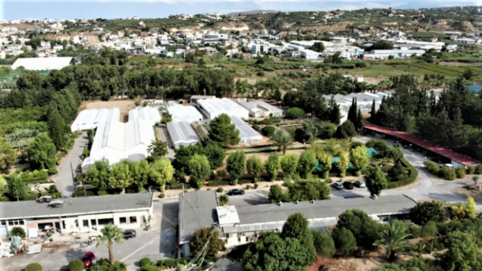 έρευνα χαρούπι