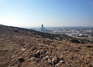 Ένα περιαστικό δάσος αναψυχής με 300.000 δέντρα «γεννιέται» στη δυτική Θεσσαλονίκη