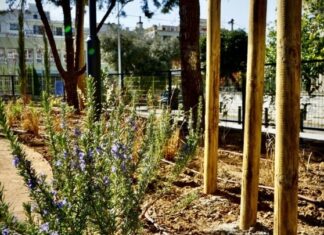 Εξαπλώνονται τα πάρκα «τσέπης» σε όλη την Ελλάδα φέρνοντας διεθνείς διακρίσεις