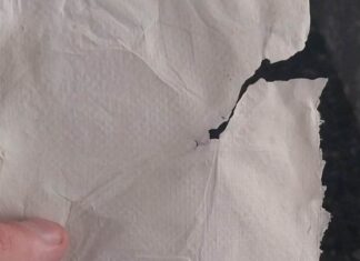 Χαρτί από βακτήρια δημιούργησαν Έλληνες επιστήμονες