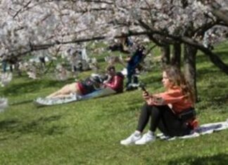 Δάση και χώροι πρασίνου μειώνουν τους κινδύνους για την υγεία