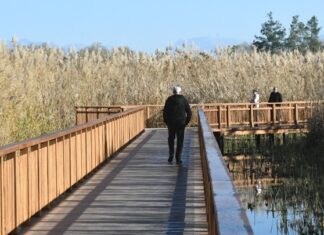 Έλος Αγυιάς: Ένας σπάνιος και ιδιαίτερος παράκτιος υγροβιότοπος μέσα στον αστικό ιστό της Πάτρας