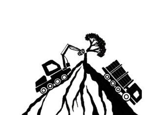 Τα ορεινά δάση χάνονται με επιταχυνόμενους ρυθμούς, θέτοντας σε κίνδυνο τη βιοποικιλότητα