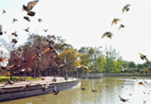 Βράβευση του Πάρκου Τρίτση – To μεγαλύτερο πάρκο της Αττικής σε νέα εποχή