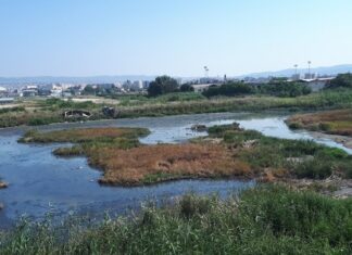 Νέες μέθοδοι απορρύπανσης «ξεκλειδώνουν» τα μυστικά του… βάλτου της δυτικής Θεσσαλονίκης (εικόνες)