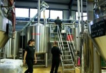 ΑΦΙΕΡΩΜΑ: Στη Λάρισα παράγεται μπίρα από το φημισμένο κάστανο Μελιβοίας