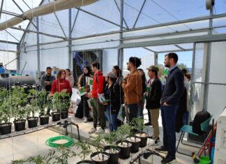 Θεσσαλονίκη: Ξένοι φοιτητές γεωπονίας στο μοναδικό ενεργειακά αυτόνομο θερμοκήπιο στη Θέρμη