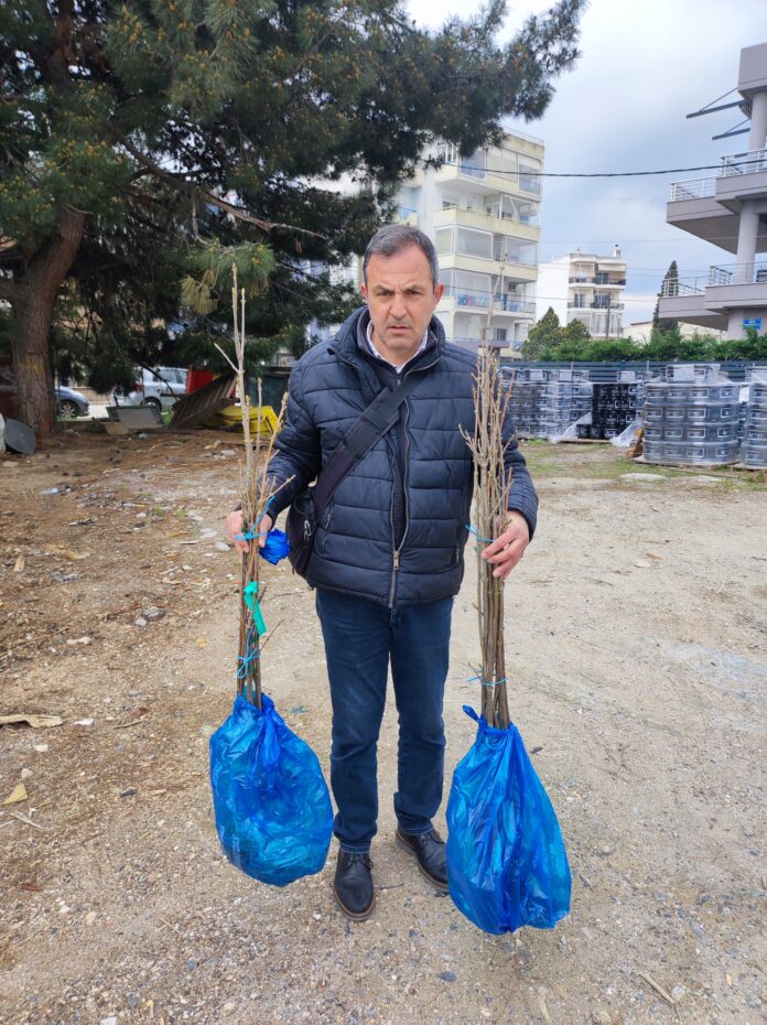 παράδοση+δέντρων+1