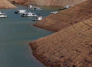 Ξηρασία, καύσωνες, πυρκαγιές – Πως η κλιματική αλλαγή έπληξε την Ευρώπη το 2022