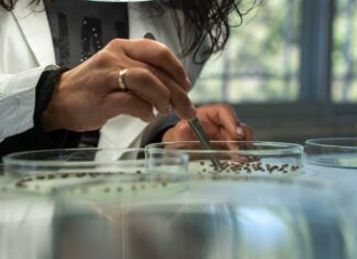 Motor Oil: Ενισχύεται η στήριξη στο δασικό φυτώριο της Αμυγδαλέζας