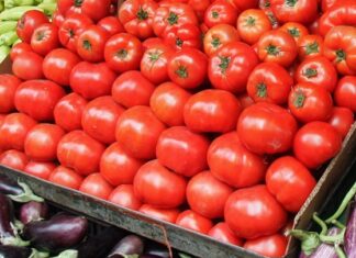 Αυξημένες οι εξαγωγές φρούτων και λαχανικών το α’ δίμηνο του 2023