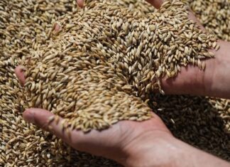 Παρατείνεται για δύο ακόμη μήνες η συμφωνία για την εξαγωγή ουκρανικών σιτηρών από λιμάνια της Μαύρης Θάλασσας