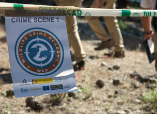 Μέθοδοι CSI στην υπηρεσία της άγριας ζωής και στην Ελλάδα