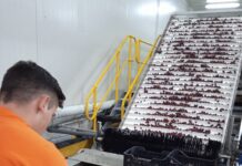 Θεσσαλονίκη: Μόνο για… λίγους η φετινή παραγωγή κερασιού – Στις όψιμες ποικιλίεχς εναποθέτουν τις τελευταίες τους ελπίδες οι παραγωγοί (εικόνες)