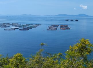 ΕΛΟΠΥ: Διεθνές πρότυπο βιώσιμης ανάπτυξης η ελληνική ιχθυοκαλλιέργεια, με πιστοποιημένες πρακτικές