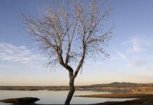 Επιταχύνεται η κλιματική αλλαγή – Η ανθρωπότητα χάνει το παιχνίδι για τον περιορισμό της υπερθέρμανσης