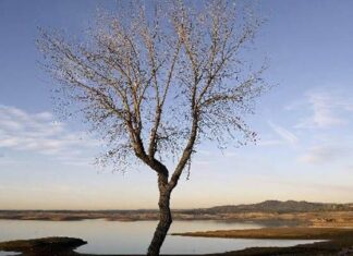 Με τρεις ΚΥΑ ενισχύεται η προστασία της βιοποικιλότητας σε ισάριθμες περιοχές της Δ. Κρήτης