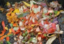 Περιφέρεια Αττικής: Νέος σύγχρονος εξοπλισμός για την ενίσχυση του προγράμματος επεξεργασίας βιοαποβλήτων