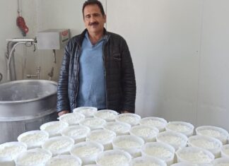 ΑΦΙΕΡΩΜΑ: Αναγεννάται ο πρωτογενής τομέας στα Ανώγεια χάρη στον τοπικό συνεταιρισμό