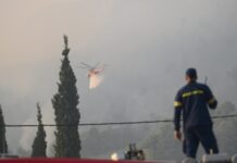 Άξονας πέντε δράσεων για την αποκατάσταση των πληγέντων από τις πυρκαγιές