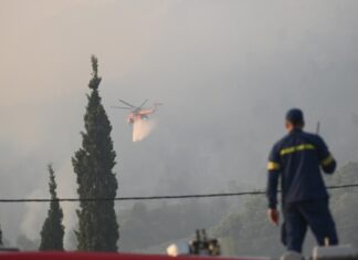 Άξονας πέντε δράσεων για την αποκατάσταση των πληγέντων από τις πυρκαγιές