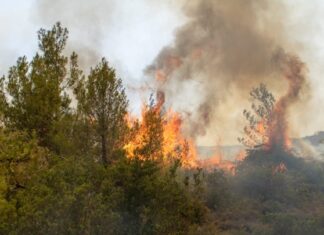 Πυροσβεστική: 41 δασικές πυρκαγιές σε 24 ώρες