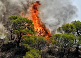 Αναζωπυρώσεις στη Δ. Αττική: Εκκενώνονται Αγ.Σωτήρα, Παλαιοκούνδουρα, Πανόραμα, Παλαιοχώρι