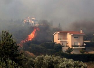 Μέσα στον Αύγουστο η 1η δόση των αποζημιώσεων στους πυρόπληκτους – Τι ανέφερε ο Χρ. Τριαντόπουλος