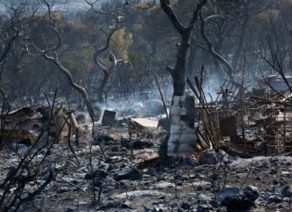 Σχεδόν 35.000 στρέμματα κάηκαν από την πυρκαγιά στην Ανατολική Αττική