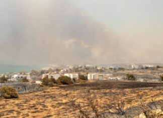 Άμεσα η καταγραφή των ζημιών από τις πυρκαγιές στην Ρόδο – Μεταβαίνει κλιμάκιο του ΕΛΓΑ