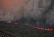 Η Ισπανία ζήτησε τη βοήθεια της ΕΕ για την αντιμετώπιση των πυρκαγιών