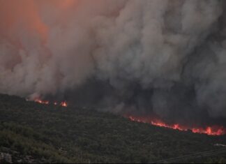Περισσότερα από 617.000 στρέμματα κατέκαψε η πυρκαγιά στον Έβρο και πάνω από 50.000 στη Φυλή Αττικής