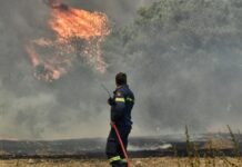 Η συχνότητα και το μέγεθος των ακραίων δασικών πυρκαγιών έχουν διπλασιαστεί τα τελευταία 20 χρόνια