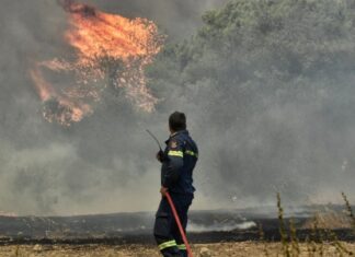 Κ. Κατσαφάδος: Ξεκίνησαν οι καταγραφές των ζημιών από τις πρόσφατες πυρκαγιές – Βασική προτεραιότητα η αποκατάσταση και η θωράκιση απέναντι στην κλιματική κρίση