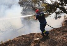 Άνοιξε η πλατφόρμα arogi.gov.gr για τους πληγέντες από τις πυρκαγιές