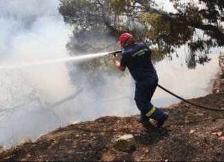 Σε 49 εκατ. ευρώ εκτιμώνται οι αποζημιώσεις για τις δασικές πυρκαγιές του καλοκαιριού του 2023