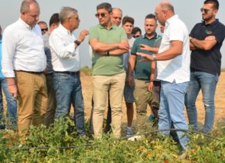 Λ. Αυγενάκης: Η κυβέρνηση είναι δίπλα στους αγρότες