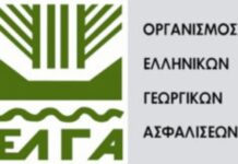 ΕΛΓΑ: Πληρωμή 13,5 εκατ. ευρώ για πυρκαγιές 2021