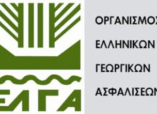 ΕΛΓΑ: Αύριο η πίστωση 30 εκατ. ευρώ για εκκαθάριση πορισμάτων που αφορούν σε ζημιές φυτικής παραγωγής και ζωικού κεφαλαίου του 2024