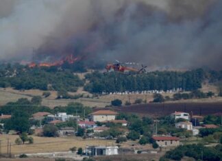 Έναρξη της δεύτερης φάσης των ειδικών σχημάτων ενίσχυσης για τις πληγείσες περιοχές Θεσσαλίας και Έβρου