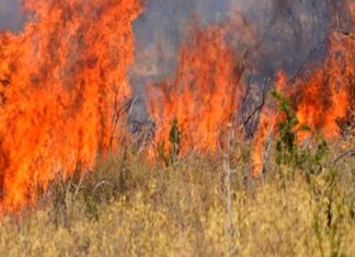 Πολύ υψηλός κίνδυνος πυρκαγιάς το Σάββατο για τις περιφέρειες Στερεάς Ελλάδας, Αττικής, Πελοποννήσου, Αν. Μακεδονίας και Θράκης