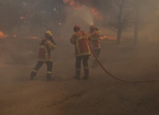 Αλεξανδρούπολη: Κάηκαν στον Έβρο 1.200 κυψέλες, 910 μικρόσωμα ζώα, οκτώ αγελάδες και πάνω από 50 ποιμνιοστάσια- Τεράστιες ζημιές σε υποδομές, αποθήκες και αγροτικό εξοπλισμό