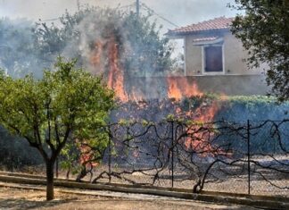 Συνεχίζονται οι καταβολές πρώτης αρωγής προς τους πυρόπληκτους του Ιουλίου