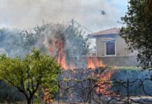 Επεκτείνεται η πλατφόρμα arogi.gov.gr και για τους πληγέντες από τις πυρκαγιές του Αυγούστου