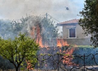 Επεκτείνεται η πλατφόρμα arogi.gov.gr και για τους πληγέντες από τις πυρκαγιές του Αυγούστου