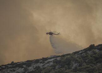 Εκκενώνεται η Φυλή – Σε εξέλιξη η πυρκαγιά στον Ασπρόπυργο – Διακοπή κυκλοφορίας σε τμήμα της Αττικής Οδού