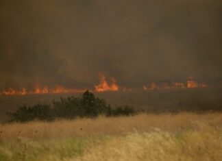 Αρχίζει αύριο η υποβολή αιτήσεων οικονομικής ενίσχυσης των πυρόπληκτων του Δήμου Αλεξανδρούπολης
