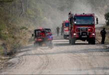Στο μέτωπο της πυρκαγιάς στον Έβρο κυβερνητικό κλιμάκιο – Σύσκεψη για την στήριξη των πυρόπληκτων